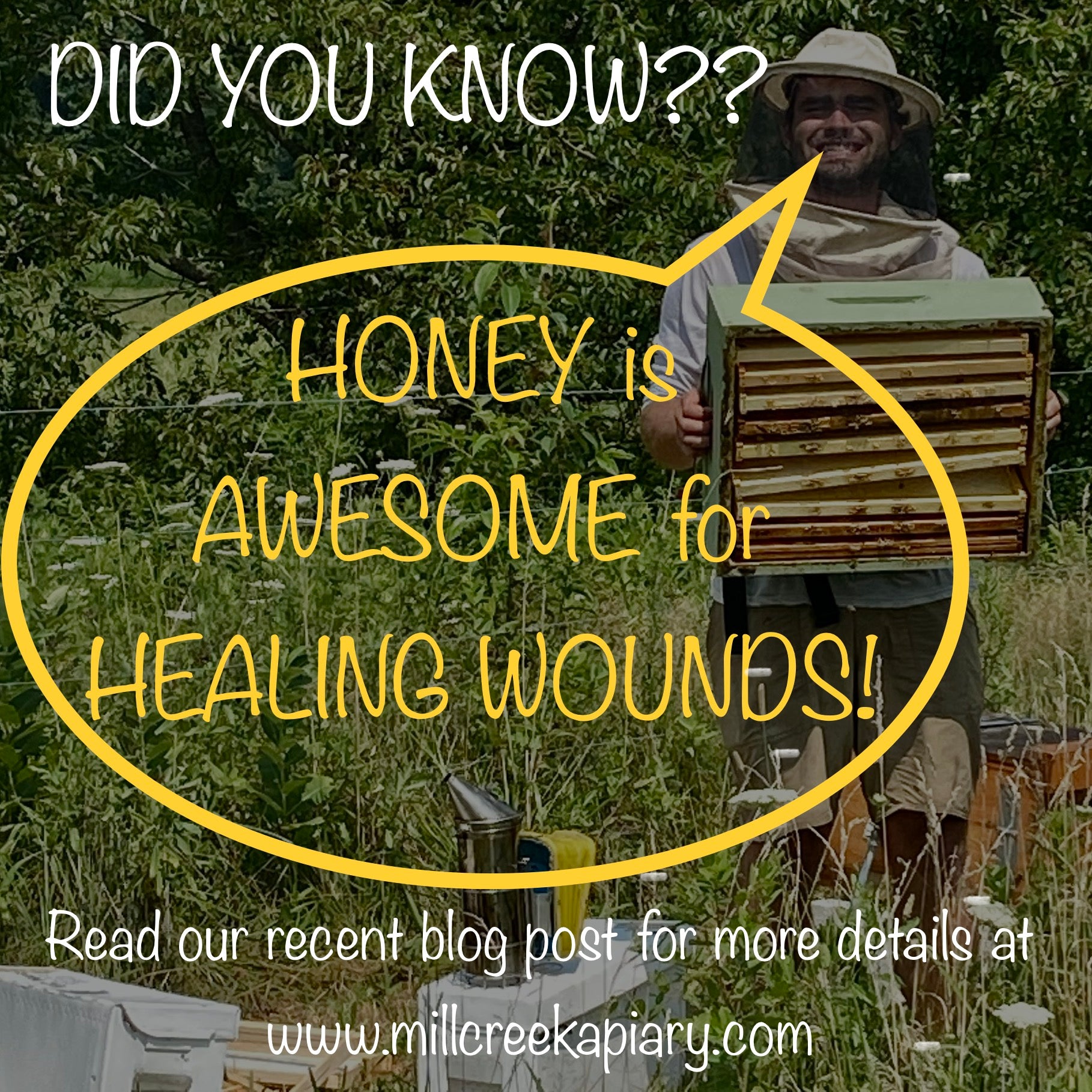 Honey Helps Heal Wounds