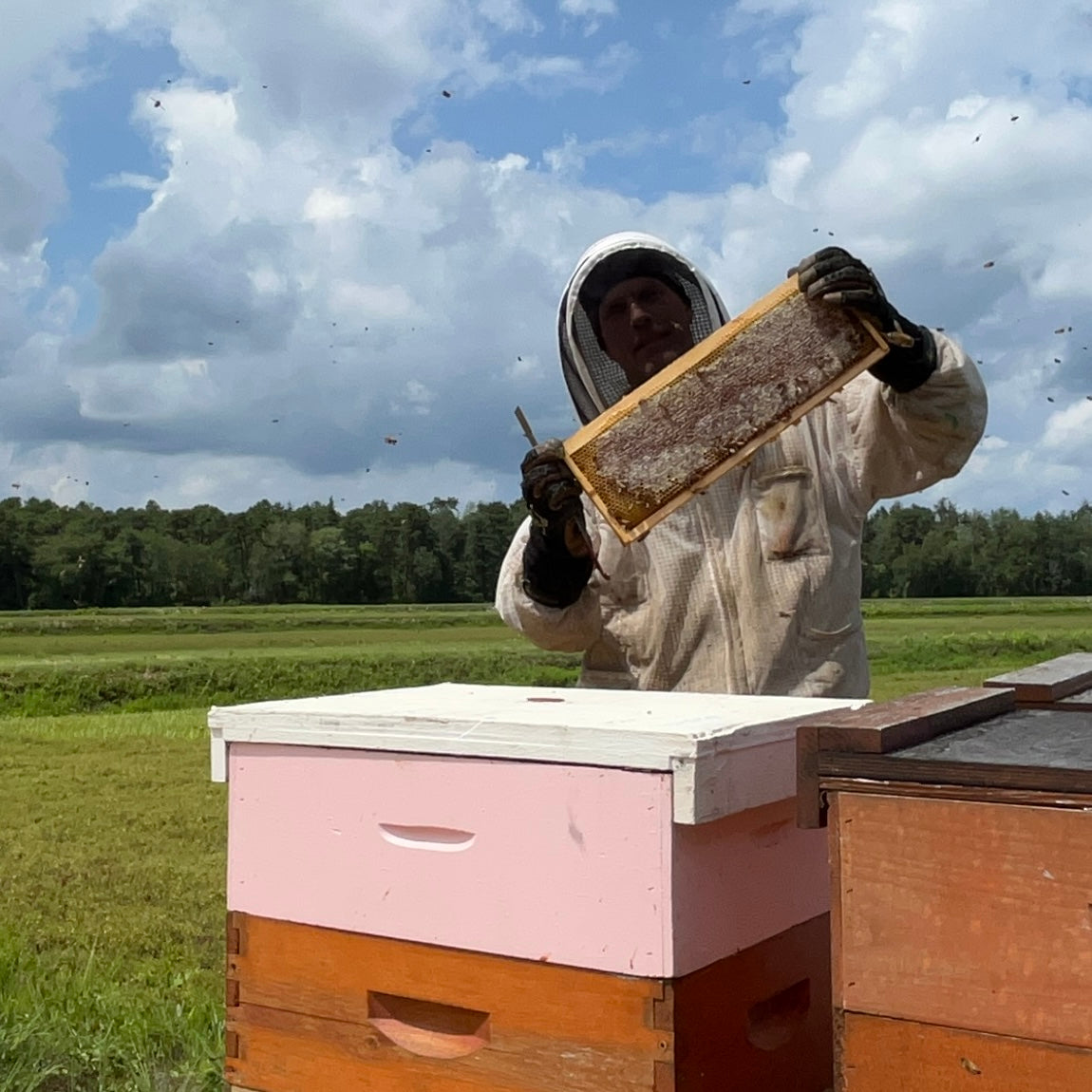 Cranberry Honey, 1lb.