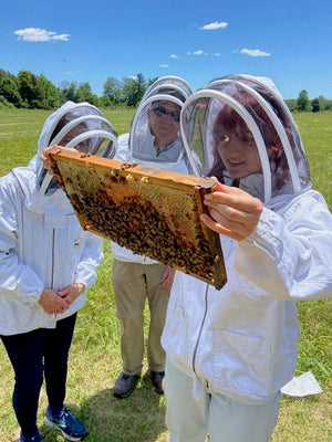 Apiary Field Day "Hive Dive" Workshop