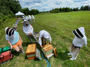 Apiary Field Day "Hive Dive" Workshop