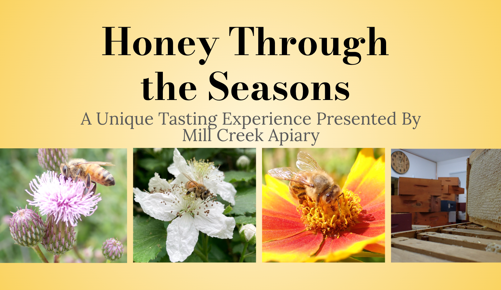 "Honey Through the Seasons- A Unique Honey Tasting Experience"