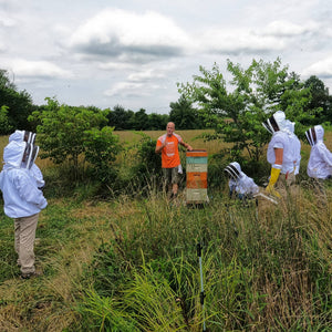 Come to Mill Creek Apiary to see a live hive!