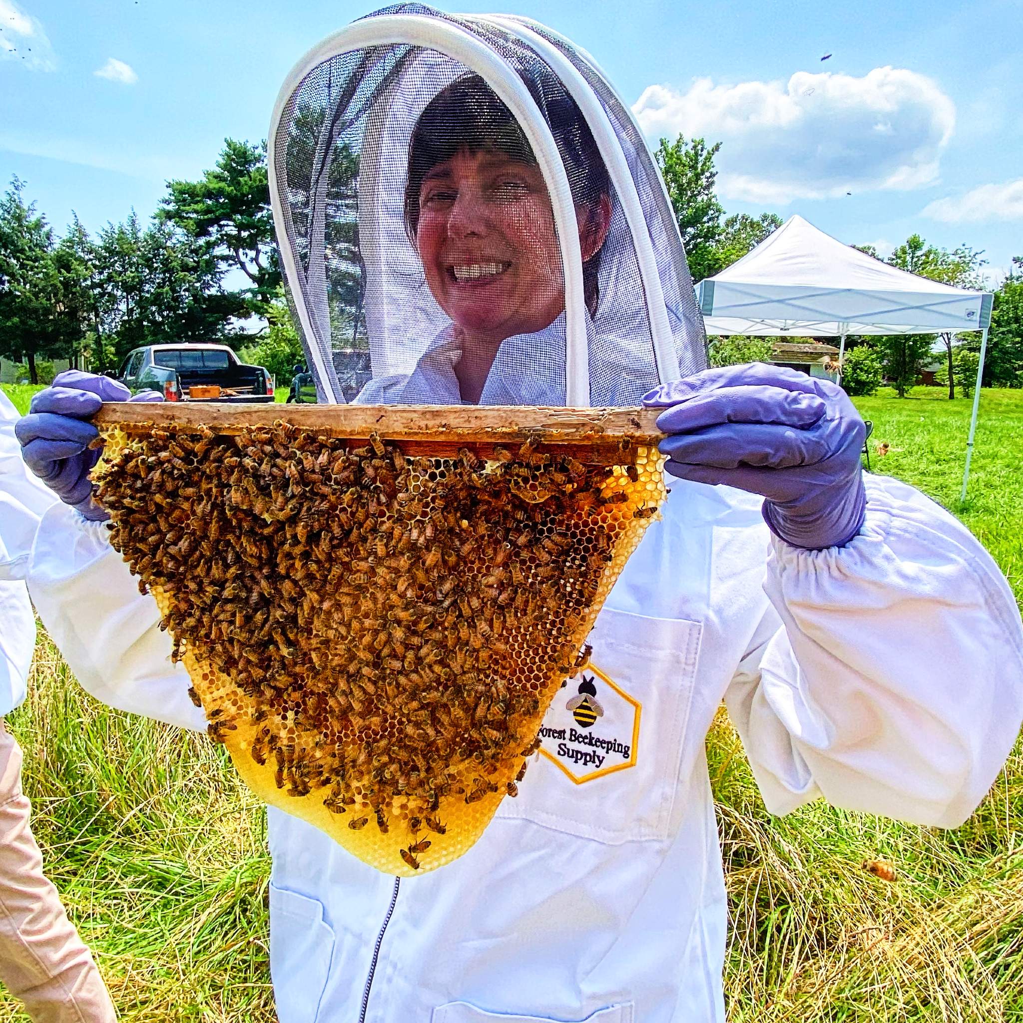 See a hive dive participant holding live bees for the first time
