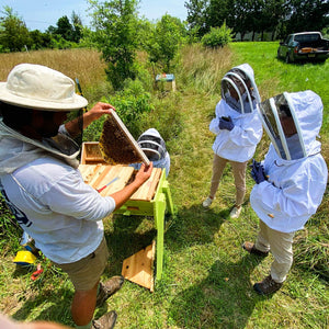 Hive dive participants enjoying the bees as Apairist holds honeycomb covered in bees