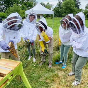 Hive Dive participants enjoying the bees