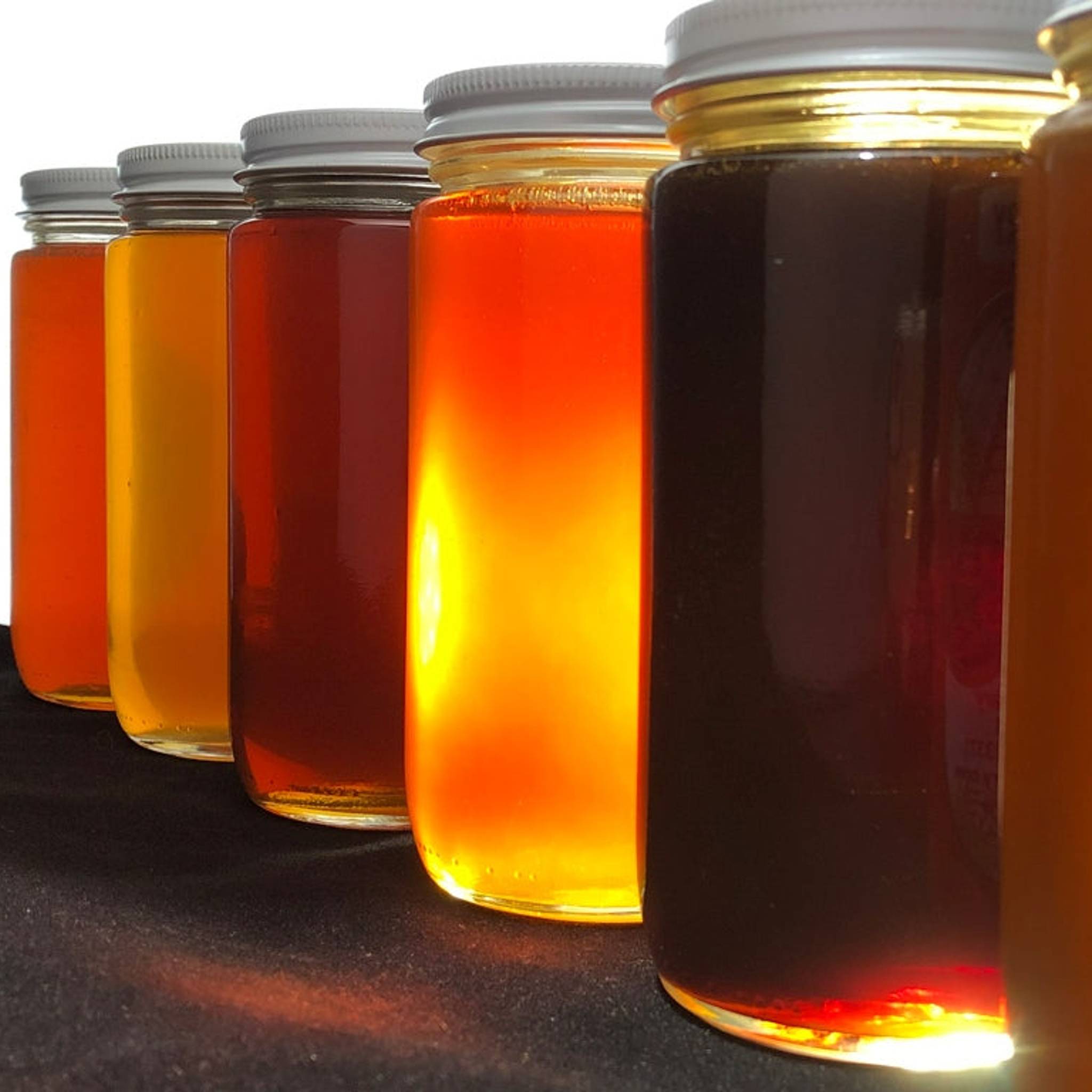 Mill Creek Apiary honey has varying color, taste, and texture