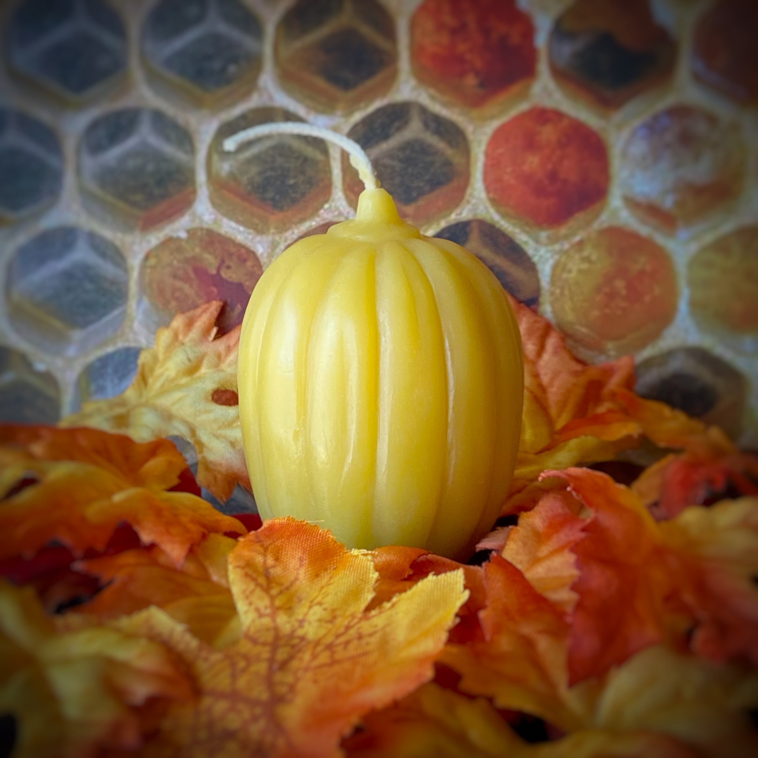 Beeswax Candle 2.5”x 2" Pumpkin